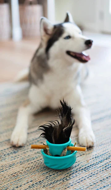 Totally Pooched | Puzzle'n Play Mushroom Dog Toy Near Me Toronto | ARMOR THE POOCH